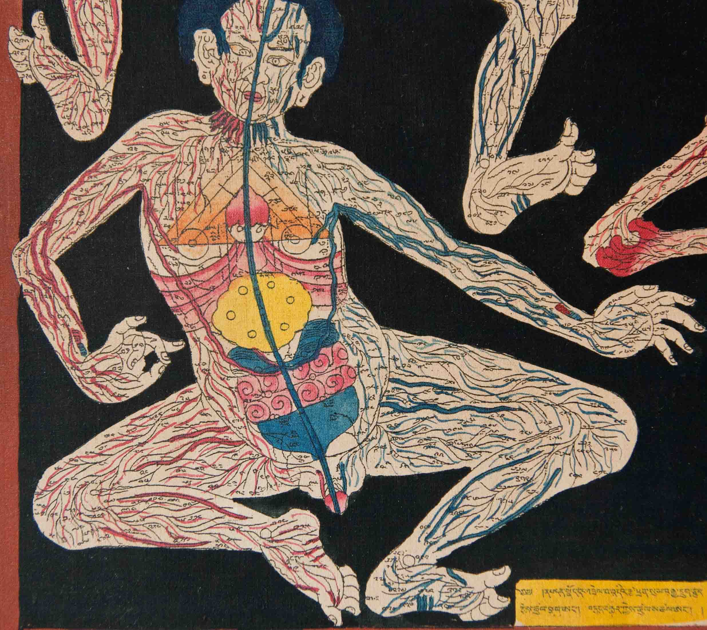 Tibetan Medical Paintings