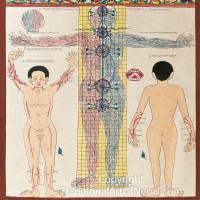Tibetan Medicine Painting
