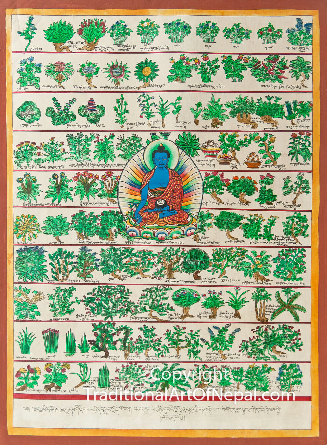Medicine Buddha and Tibetan Plants