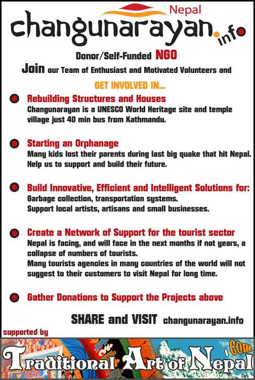 Support NGO in Nepal