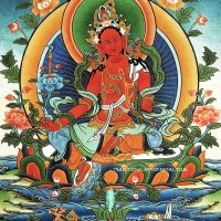 Buddhist Goddess Red Tara Thangka