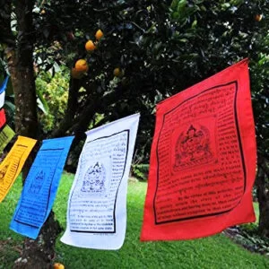 Tibetan Prayer flags