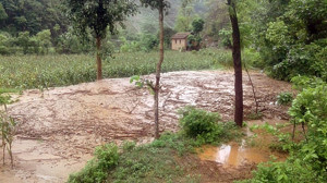 flooded crop
